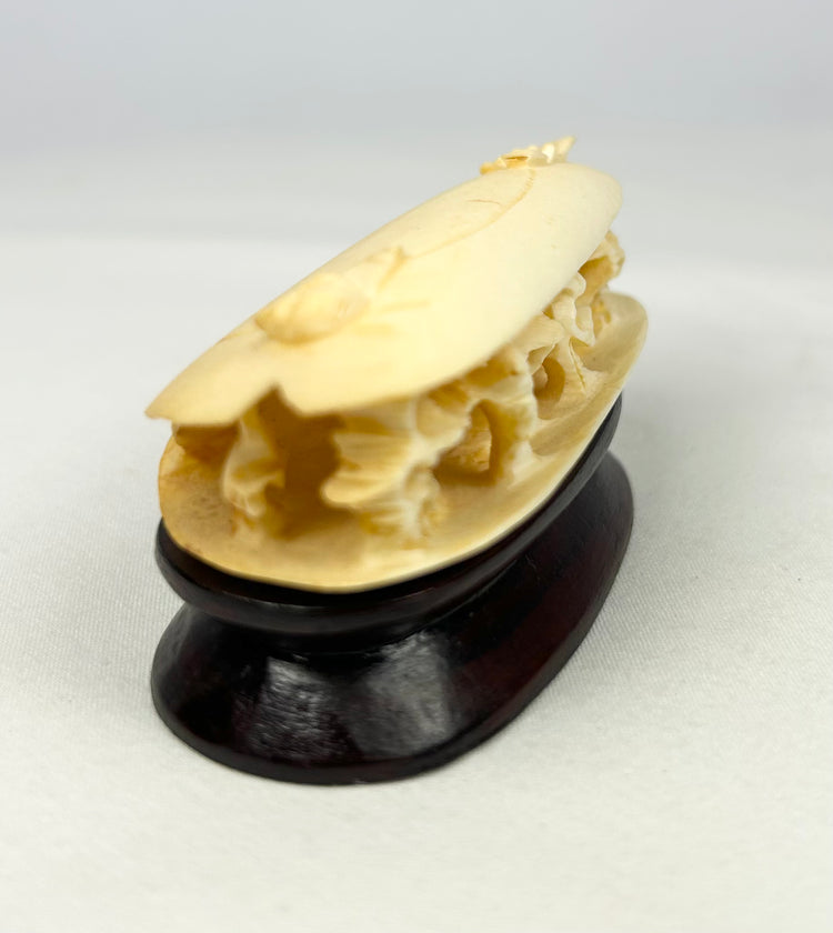 Three-quarter angled view of the carved bone clam shell miniature displaying the layered openwork carving and patinated bone surface.
