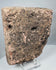 Reverse of an ancient Veracruz stone head with recessed cavities