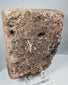 Reverse of an ancient Veracruz stone head with recessed cavities