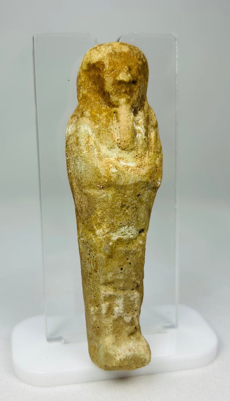 Close-up of Egyptian ushabti head and torso highlighting pigment traces