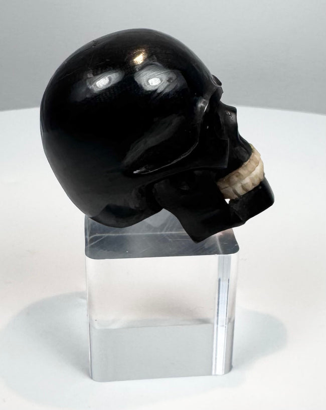 Hand-carved black horn skull with glossy finish and defined jaw