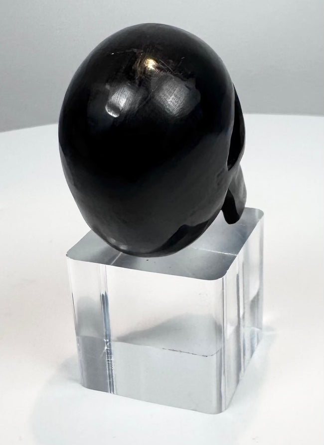 Three-quarter view of a polished black horn skull carving