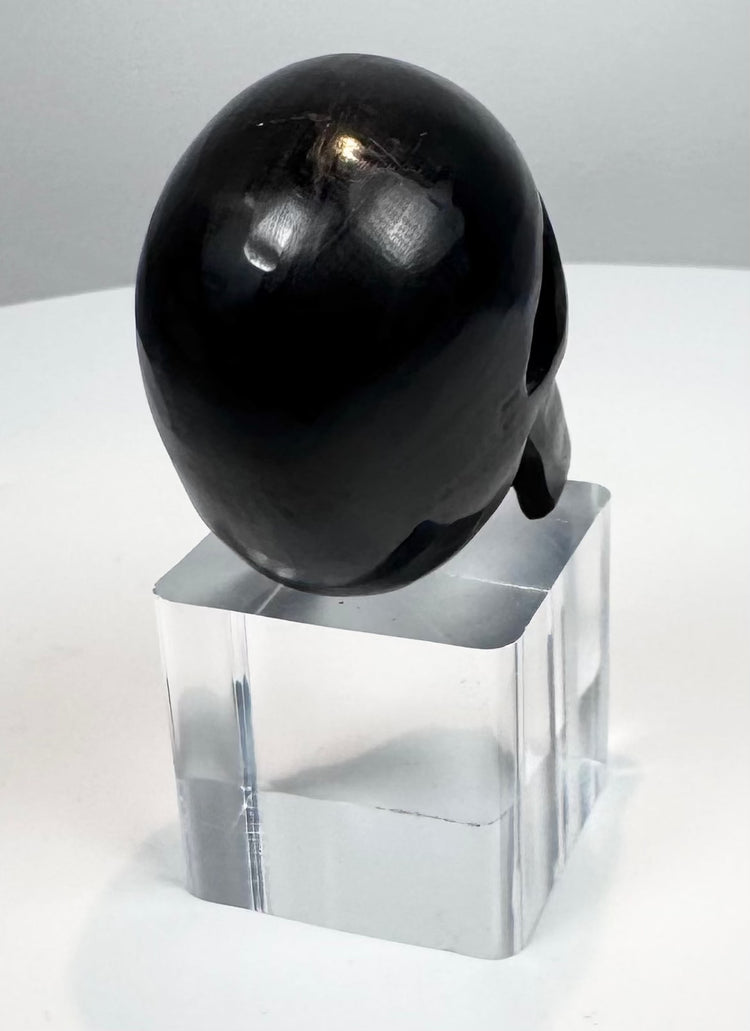 Three-quarter view of a polished black horn skull carving