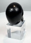 Three-quarter view of a polished black horn skull carving