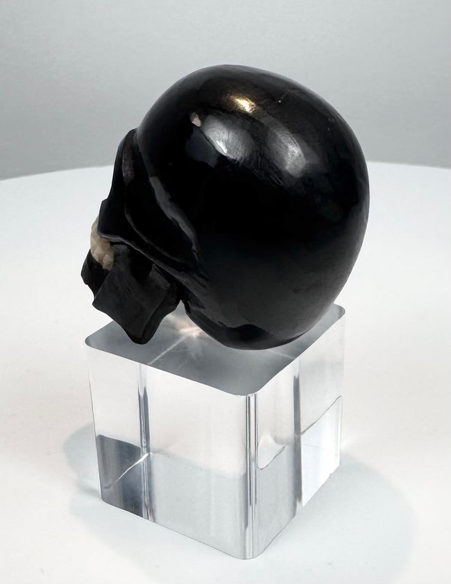 Rear view showing the rounded cranium of the miniature carved skull