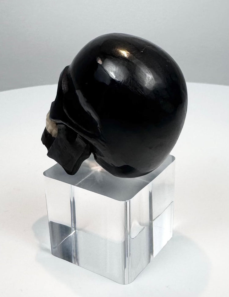 Rear view showing the rounded cranium of the miniature carved skull
