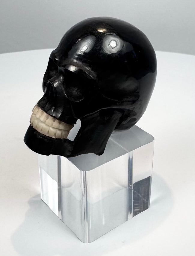Front view of a carved horn memento mori skull with articulated teeth