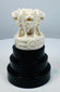 Hand-carved four-lion Ashoka sculpture in pale organic material