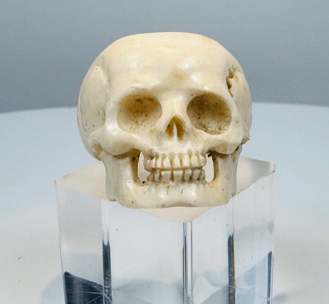 Antique vanitas skull ring with circular openings beside the carved cranium