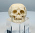 Antique vanitas skull ring with circular openings beside the carved cranium