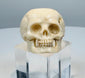 Antique vanitas skull ring with circular openings beside the carved cranium