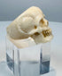 Profile of an antique carved bone skull ring showing the rounded cranium
