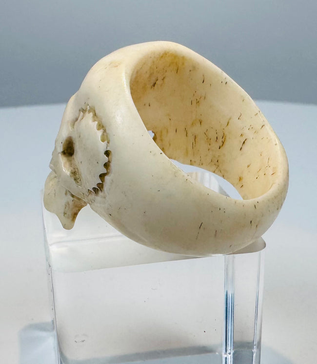 Reverse of a hand-carved skull ring revealing the continuous bone band