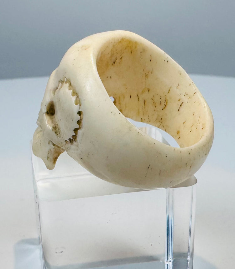 Reverse of a hand-carved skull ring revealing the continuous bone band