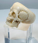 US size 14 carved bone skull ring from a European memento mori collection