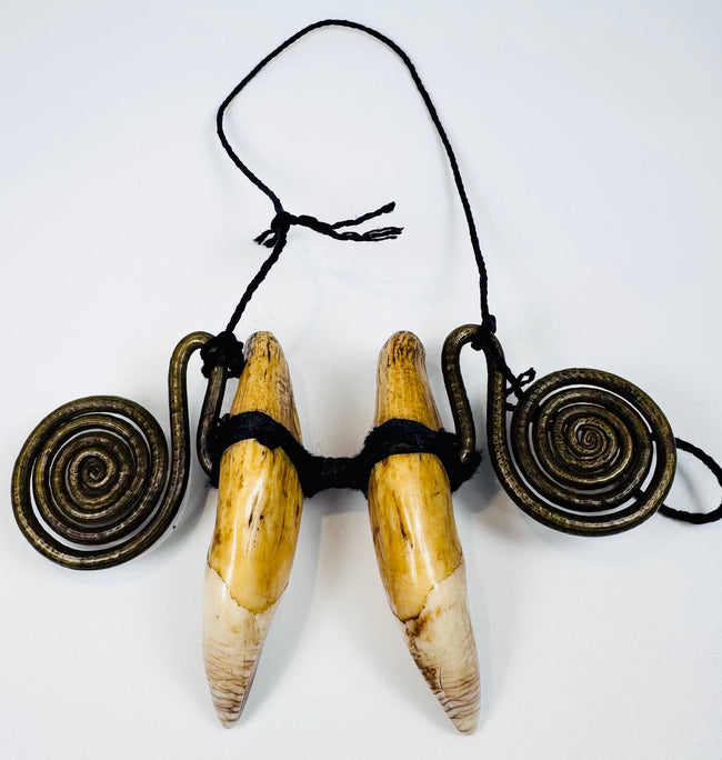 Northeast Indian warrior necklace with paired canine teeth and suspension cord