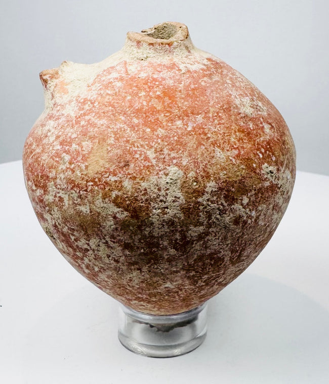Front view of a Roman terracotta dispensing vessel with archaeological surface deposits