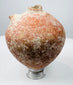 Front view of a Roman terracotta dispensing vessel with archaeological surface deposits