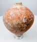 Roman globular terracotta container with reddish surface treatment and mineral encrustation
