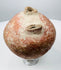 Roman Imperial terracotta tettina with red-orange slip and surviving side handle