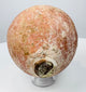 Ancient Mediterranean ceramic dispensing vessel with wheel-made construction and burial deposits