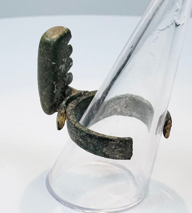 Rear view of a Late Roman bronze ring showing its open-ended finger band