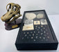 Prehistoric Fossil Display Collection | Cambrian Trilobites, Fossil Fish, Shark Teeth & Brachiosaurus Skull Replica