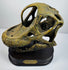 Right-side view of a hand-painted Brachiosaurus skull-and-jaws replica on a wooden display base