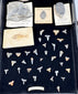 Overhead view of the fossil collection with trilobites, shark teeth, fossil fish and marine limestone