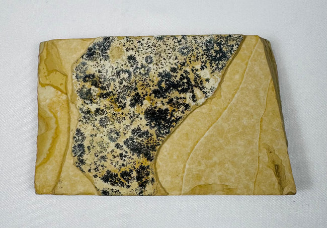 Reverse view of the fossil fish limestone slab showing dark mineral deposits and natural matrix fissures