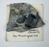 Multi-specimen Cambrian trilobite matrix with complete and partial trilobites on an older collection card