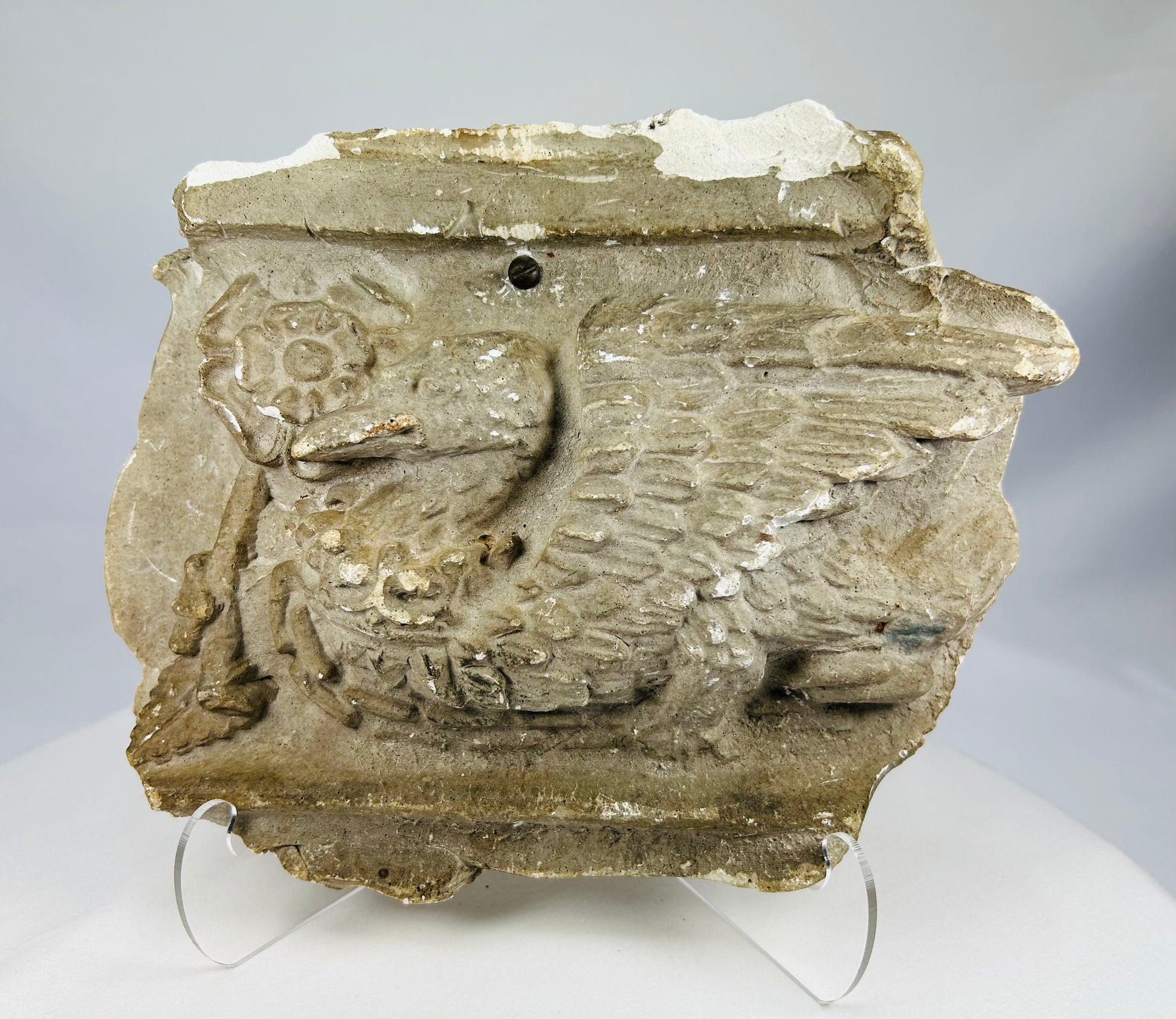 Antique plaster architectural study cast featuring a winged griffin relief with aged patina