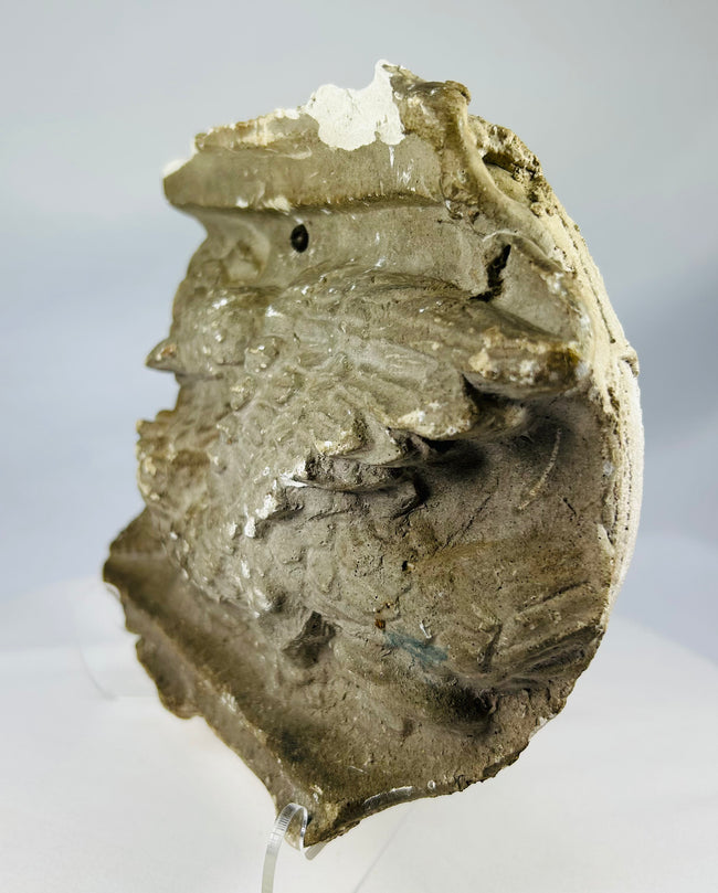 Decorative griffin relief cast inspired by medieval European architecture, early 20th century