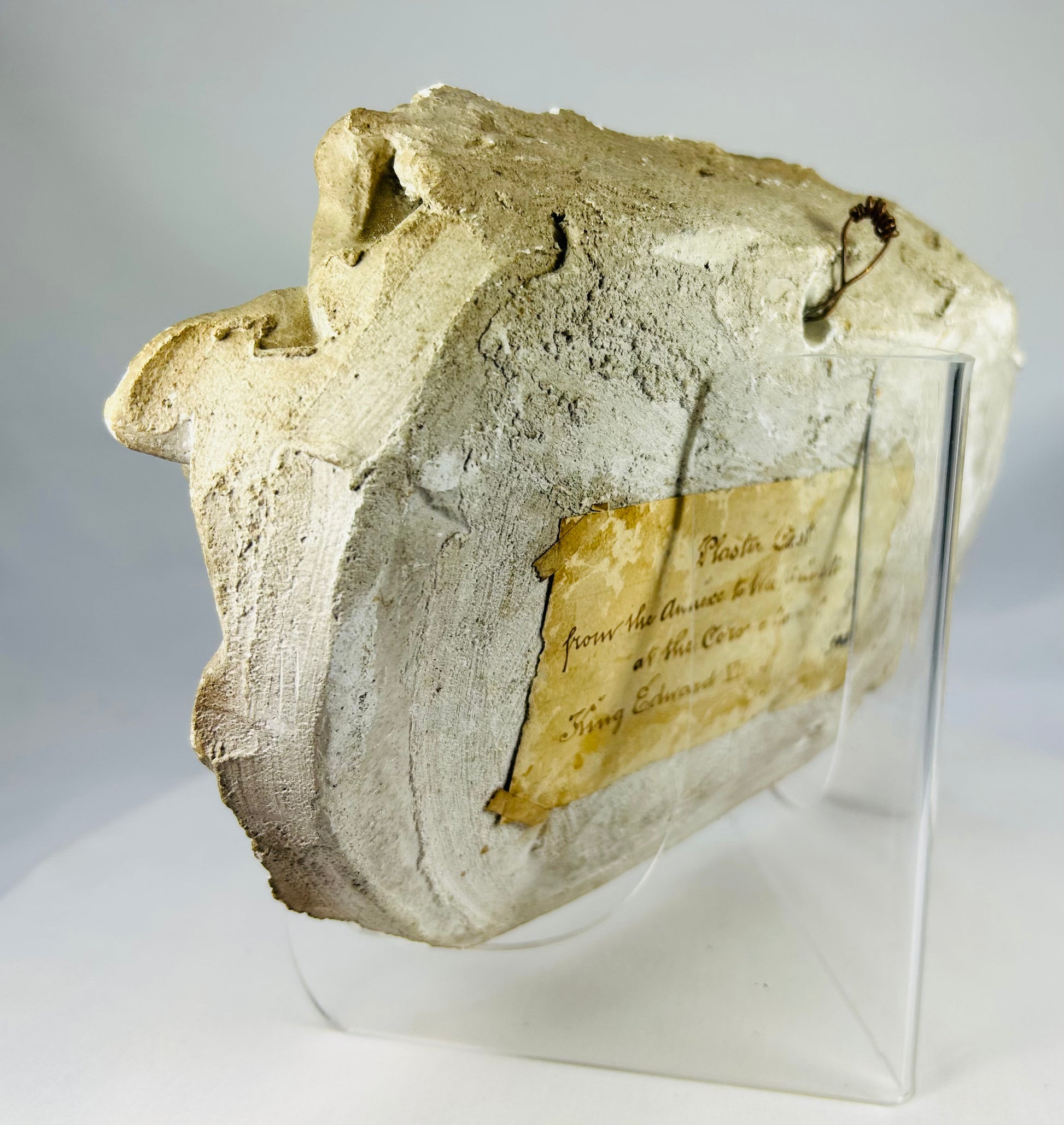 Antique plaster griffin wall plaque showing medieval guardian symbolism and sculptural depth