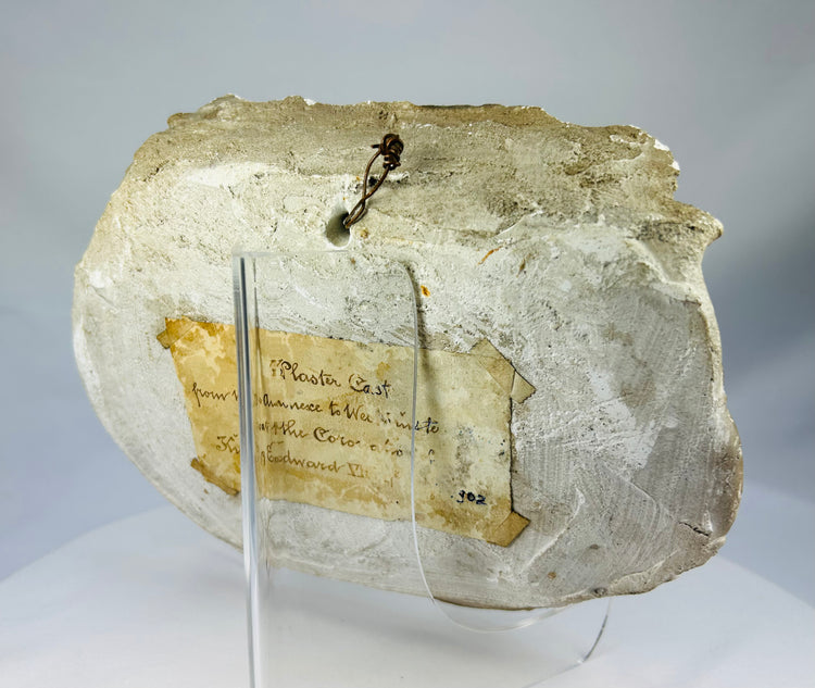 Edwardian plaster cast of mythical griffin creature used for architectural and museum study