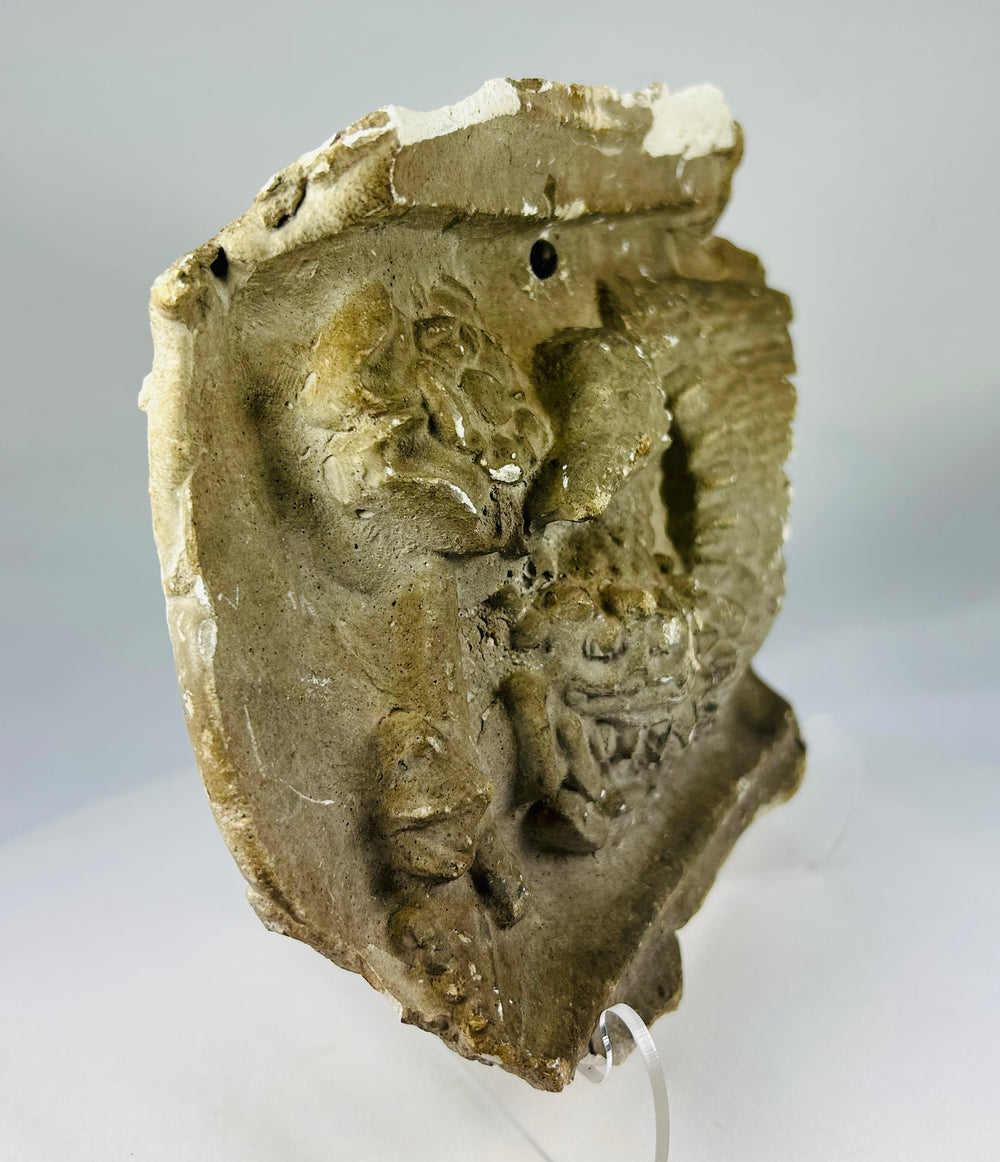 Plaster museum study cast of a griffin with detailed feathers and textured body, Edwardian period