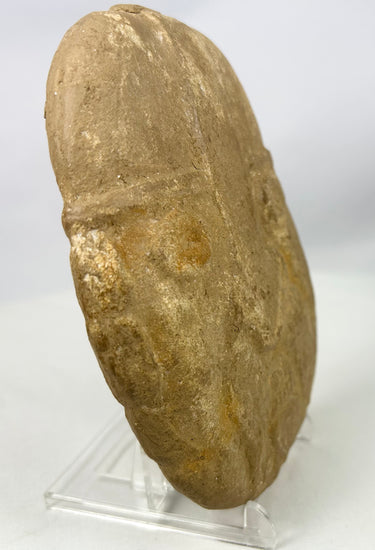 Antique-style carved stone warrior head with bearded facial form