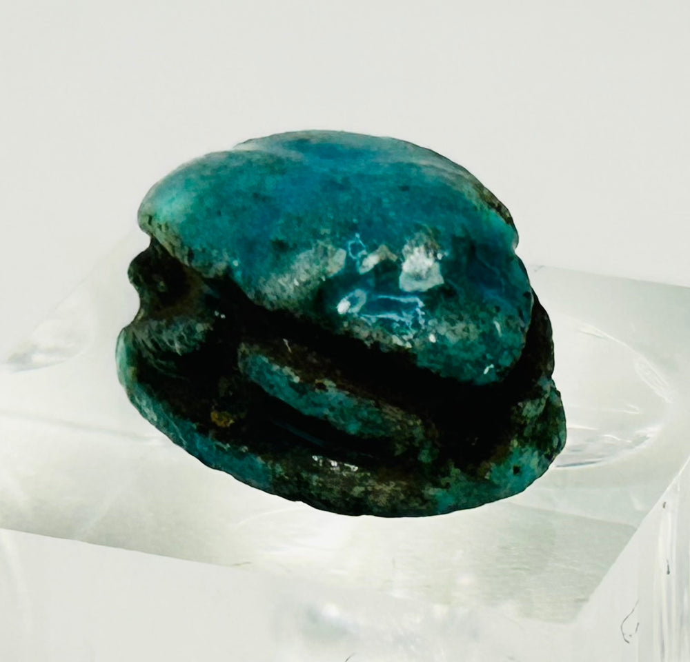 Close-up of New Kingdom Egyptian scarab showing detailed beetle carving and glaze wear