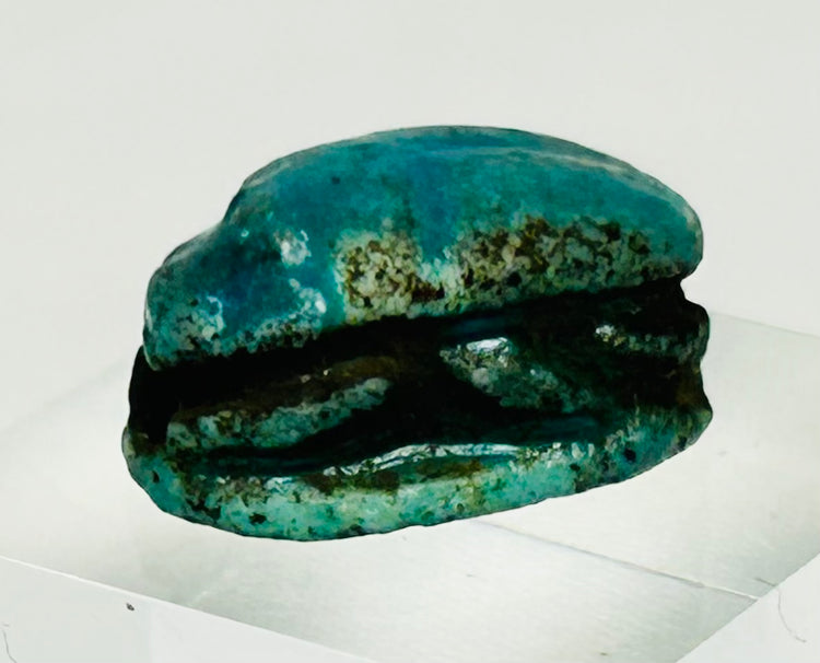 Side view of New Kingdom scarab amulet highlighting curved beetle form and aging glaze