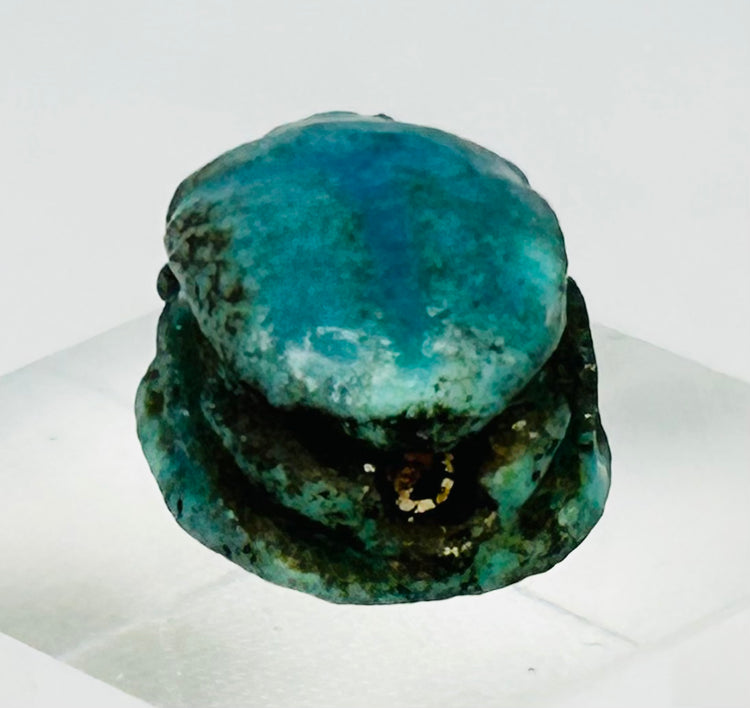 Authentic New Kingdom steatite scarab amulet photographed on museum-style display