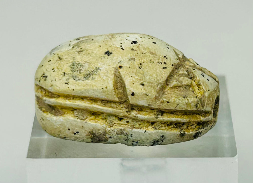 Side view of New Kingdom Egyptian scarab highlighting rounded beetle form and aged surface