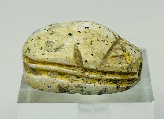 Side view of New Kingdom Egyptian scarab highlighting rounded beetle form and aged surface