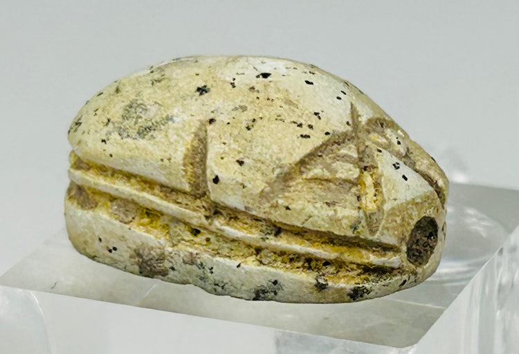 Close-up of carved Egyptian scarab showing clearly defined beetle wings and body segmentation