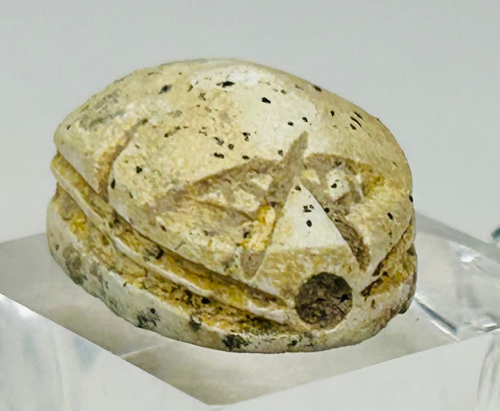 Ancient Egyptian scarab amulet dated to New Kingdom circa 1550–1070 BC