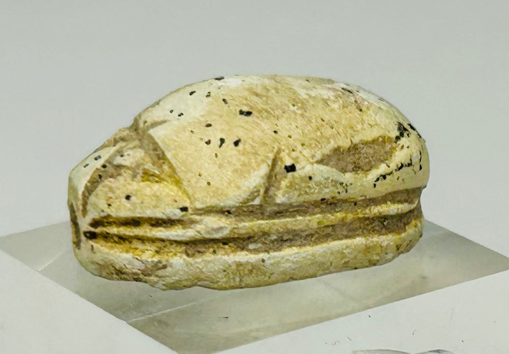 Authentic New Kingdom Egyptian scarab amulet with carved detailing and burial surface wear