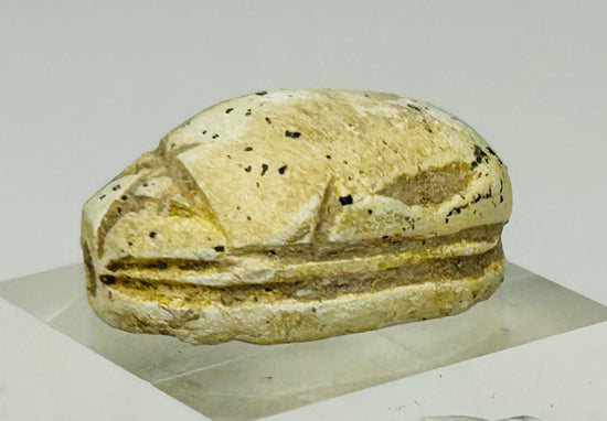 Authentic New Kingdom Egyptian scarab amulet with carved detailing and burial surface wear