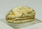 Authentic New Kingdom Egyptian scarab amulet with carved detailing and burial surface wear