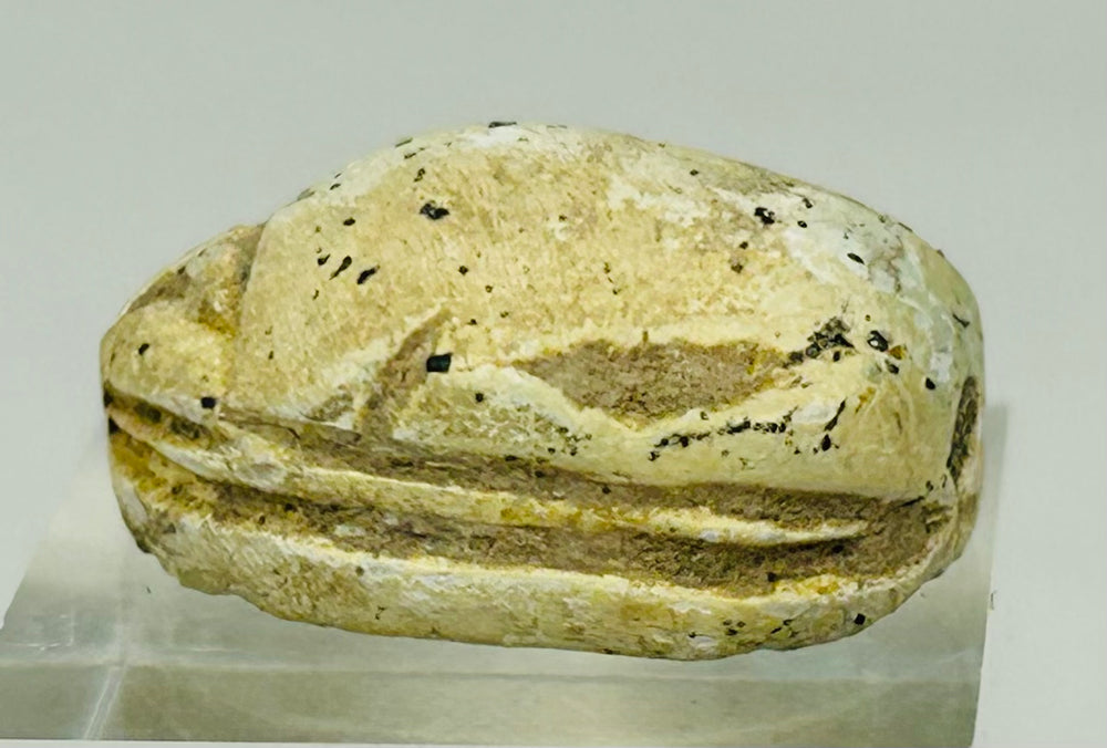 Ancient Egyptian protective scarab talisman associated with rebirth and divine symbolism