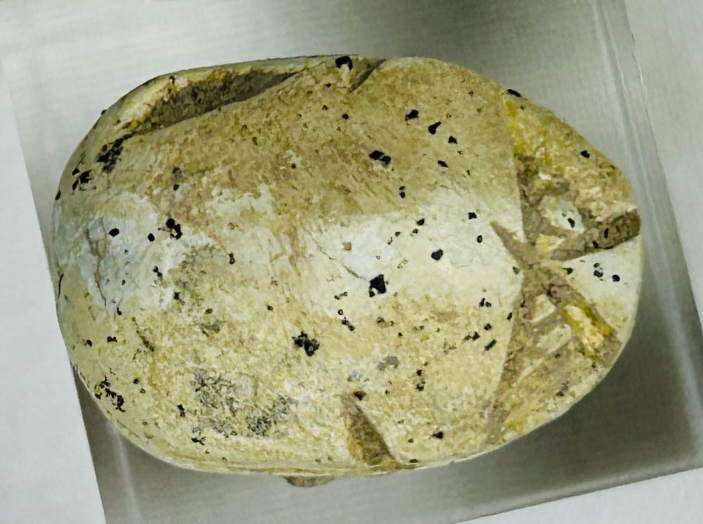 Archaeological Egyptian scarab amulet photographed against neutral background