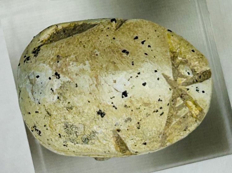 Archaeological Egyptian scarab amulet photographed against neutral background